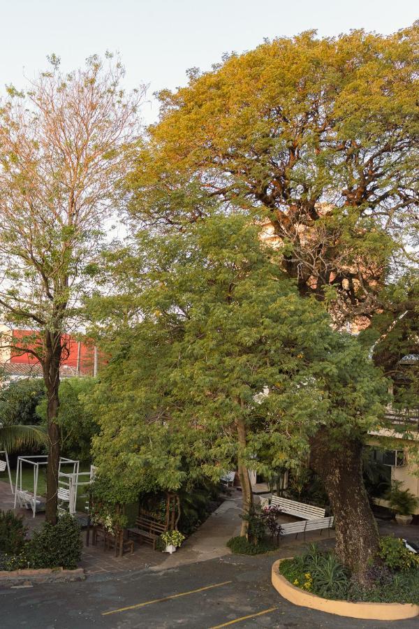 Das Heim Hotel 아순시온 외부 사진